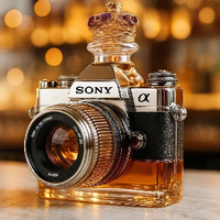 Trendy camera-vormige glazen wijnfles whiskyfles creatieve unieke likeurfles voor wijn cadeau decoratie