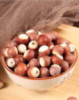 Graines de Qian Shi Gorgon Fruit, plante médicinale chinoise, Euryales Semen, fruits secs ronds, aliments santé de haute qualité pour la régime alimentaire, épices, santé rénale