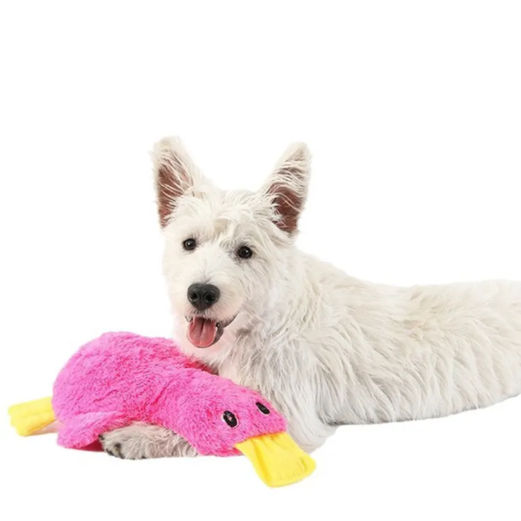कस्टम रंग पालतू जानवर squeky अविनाशी कुत्ते च्यू खिलौना प्यारा चुम्बन दांत कुत्ते उच्च गुणवत्ता वाले पालतू जानवर
