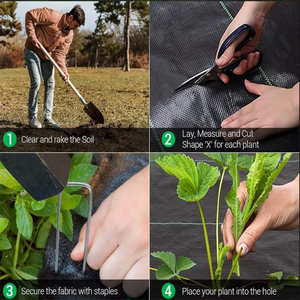 Film plastique agricole anti-mauvaises herbes, couverture de sol et paillis de contrôle des adventices, tapis anti-mauvaises herbes non tissé noir - Product Image 4