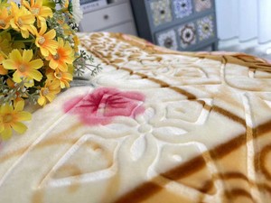 Ply Bộ Gối In Họa Tiết Lông Chồn 100Polyester 75X100Cm Một Mặt Chăn Raschel Du Lịch - Product Image 4