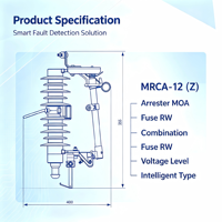 ZHUOLI MACA-12(Z) 12kV Parafoudre combiné monté sur poteau extérieur avec disjoncteur thermique pour protection contre la foudre aérienne