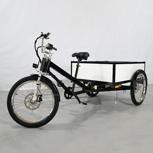 รถสามล้อบรรทุกแบบเปิดใหม่ ปี <span class=keywords><strong>2023</strong></span>, รถสามล้อบรรทุกไฟฟ้า - Product Image 2