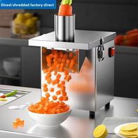 Compacte elektrische roestvrijstalen multifunctionele snijmachine/hakmolen/slicer met motor voor het snijden van wortelen, aardappelen en fruit