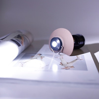 Nouvelle lampe de camping LED ultra-légère à batterie puissante, portable, d'urgence, pour l'extérieur