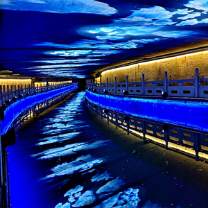Proyector de Gobo con Patrón Personalizado para Edificios, Hoteles, Centros Comerciales, Bodas, Eventos, Parques e Iluminación Arquitectónica de Marca - Product Image 1