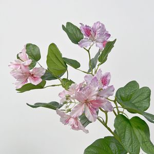 Flores Artificiales de Bauhinia, Rama Individual de Seda, Alta Simulación, Decoraciones para Bodas, Accesorios de Decoración para el Hogar - Product Image 1