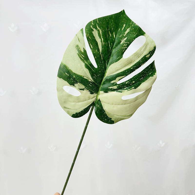 Blanc dégradé vert