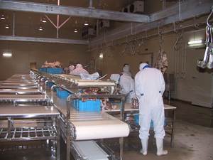 Table d'abattage et équipement de découpe de viande en acier inoxydable ZBHT pour abattoir - Product Image 6