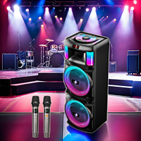 Double système DJ PA 12 pouces son 1000W audio portable tweeter de fête avec microphone, adapté à la fonction karaoké à domicile