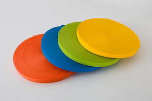 Cổ phiếu hotsale PP ràng buộc Webbing 2.2cm chiều rộng Polypropylene đầy màu sắc dây đeo xương cá Băng 45 + Màu sắc sẵn sàng hàng hóa Giao hàng nhanh - Product Image 5