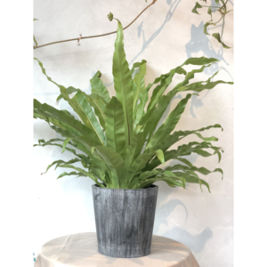 Conception en bois <span class=keywords><strong>pot</strong></span> de fleur de jardin pots de plantes décoratives d'intérieur pas cher petits pots de fleurs - Product Image 1