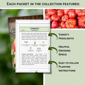 Packs <span class=keywords><strong>de</strong></span> truies <span class=keywords><strong>de</strong></span> <span class=keywords><strong>tomates</strong></span> biologiques sans OGM Beefsteak Kellogg's Cherokee Purple Mortgage Lifter Tomate Heirloom <span class=keywords><strong>Variétés</strong></span> pour la culture à domicile - Product Image 2