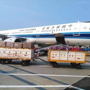 Servicio de Transporte Aéreo Express Puerta a Puerta en Canadá, Entrega en 2 Días para Envíos Grandes y Urgentes desde China - Product Image 5