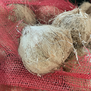 La fábrica de crema de coco de Vietnam ofrece crema de coco pura con sabor natural y calidad constante para los mercados globales - Product Image 1