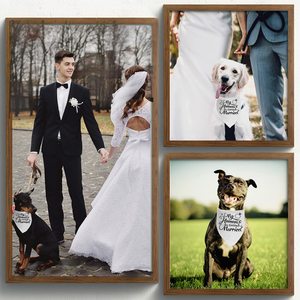 Cadeau de fiançailles, Bandana pour chien « Mes humains se marient », Accessoire photo de mariage, Foulard pour animal de compagnie, Annonce de fiançailles pour chien - Product Image 2