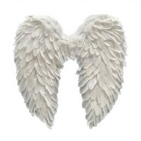 Ailes d'ange en carton à plumes modernes, cadeaux personnalisés, décorations pour fêtes d'Halloween et d'anniversaire, marque SINOCS, fabriqué en Chine