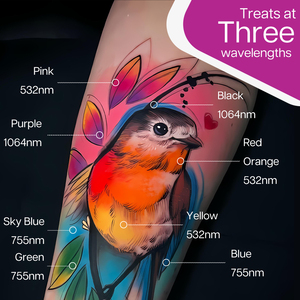 <span class=keywords><strong>Meilleur</strong></span> vendeur, machine à laser picoseconde professionnelle pour l'élimination des tatouages au laser, 1064 1320 532 755 Nm, Black Doll, Picoking - Product Image 4