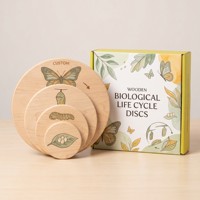 Houten Montessori vlinder levenscyclus schijven biologische wetenschap leerzaam OEM educatief zintuiglijk speelgoed kleurrijk uniseks