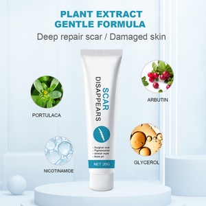 Crema Reparadora de Cicatrices al por Mayor de 20g con Fórmula Suave, Extracto de Plantas y Arbutina para el Cuidado Diario y la Reducción de Melanina - Product Image 3