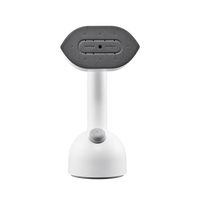 Portable 1200W pliable voyage vêtement vapeur fer électrique vêtements vapeur avec pompe pour une utilisation en extérieur