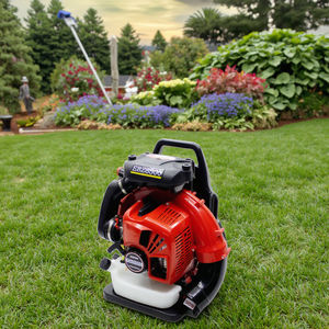 Sırt çantası gaz Powered yaprak üfleyici 2 zamanlı çim çim Blower hava soğutma benzin güçlü ergonomik tasarım - Product Image 1