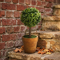 Petites plantes artificielles avec pots, plantes d'intérieur artificielles réalistes pour la décoration de la maison, du bureau et de la table, décoration végétale