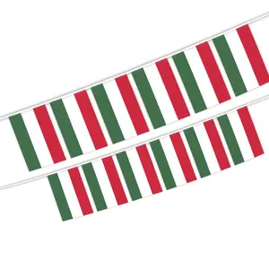 诺信定制旗厂匈牙利人串旗匈牙利国家旗帜装饰