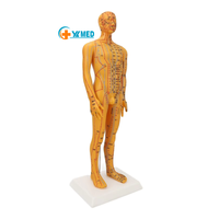 Modèle d'acupuncture du corps humain de 53 cm, modèle pédagogique chinois des points de pression pour les acupuncteurs, CE/ISO