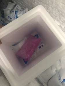 Reagentes químicos Clungene Anticorpo monoclonal do rato anti-Raiva para a pesquisa - Product Image 6