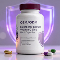 Complément Nutritionnel GMP pour Adultes : Extrait de Sureau, Vitamine C, Zinc – Capsules Dures Antioxydantes pour le Bien-être Quotidien (Vrac, OEM)