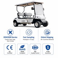 Voiturette de golf électrique 4 places avec moteur asynchrone AC, frein à tambour hydraulique double circuit, capacité de montée de 25 %, sans entretien, Colloidal Golf