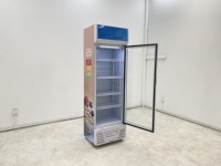 Réfrigérateur de haute qualité pour boissons, refroidisseur de présentation, refroidisseur à une porte vitrée