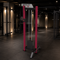 Appareil de musculation multifonctionnel REYK REYK18 de haute qualité avec poulie simple, tirage vertical, croisement de câbles réglable 75 kg, unisexe, pour exercices des bras et abdominaux