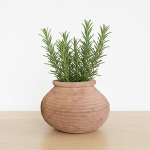 <b>Ceramic</b> Glazed Wabi-Sabi Style Handmade Flower <b>Vase</b> Home Decor 4-8 Inches Dai Phong Lan Living Room Kitchen Dining Room-Weddings - Product Image 1