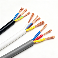 Cable Eléctrico Industrial de Alta Calidad RVV con Núcleo de Cobre Trenzado, Flexible, de Bajo Voltaje 300/500V, con Revestimiento de PVC para Uso Doméstico