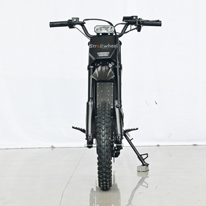 Motocicleta Todoterreno de 2000W y 48V, Motocicleta de Cross, 55 km/h, para Jóvenes - Product Image 4