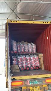 Carrello Montato Estintori Portatile 25kg ABC Polvere Secca Estintore Produttore - Product Image 6