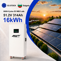 Paket Baterai Lifepo4 Bulgaria 51.2V 314ah 300Ah 314Ah 320Ah 16kwh Baterai Lithium Ion Prismatik Penyimpanan Tenaga Surya Stok EU