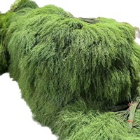 Penjualan terlaris 5-Prong 34-Slot Asparagus Fern bunga buatan gaya hutan pernikahan karangan bunga hijau grosir tanaman