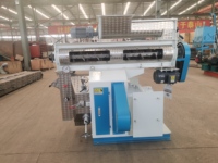 Machine à granulés de haute qualité 55kw HKJ 320 2-4T/H, pelletiseur, acier inoxydable, neuf, pour l'alimentation animale, l'alimentation des volailles, l'usine de granulés