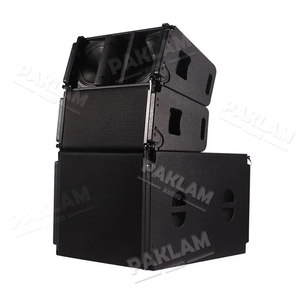 Sistema <span class=keywords><strong>Line</strong></span> Array Professionale PAKLAM a 2 Vie con Doppio Woofer da 10 Pollici 700W per Esterni, Set DJ, Audio, Video e Illuminazione - Product Image 2