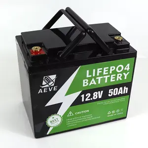 12V/24V/48V 100ah 200ah 300ah Lifepo4 Batterij Cel Lithium-Ion Batterij Packs Met Batterij Accessoires Voor Heftruck Smart