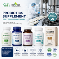 Poudre de probiotiques Bacillus Subtilis à haute concentration en UFC, ingrédient en vrac pour l'alimentation animale et les compléments humains, OEM ODM