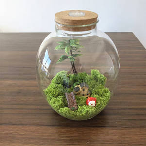 Jarrón <span class=keywords><strong>de</strong></span> Vidrio <span class=keywords><strong>de</strong></span> Diseño Único, Exhibición <span class=keywords><strong>de</strong></span> Plantas Aéreas <span class=keywords><strong>de</strong></span> <span class=keywords><strong>Mesa</strong></span>, Terrario <span class=keywords><strong>de</strong></span> Vidrio con Tapa <span class=keywords><strong>de</strong></span> <span class=keywords><strong>Corcho</strong></span> <span class=keywords><strong>para</strong></span> Decoración del Hogar - Product Image 3