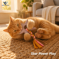 Jouet pour chat en tissu étoilé avec pompon, étoile en silicone à picots massants et queue en corde tressée pour chats d'intérieur et chatons