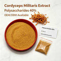 Extrait de Cordyceps Militaris OEM/ODM, Polysaccharides 30%~50% en Poudre, Qualité Alimentaire, Séché par Pulvérisation, Approvisionnement Direct Usine, Échantillons Gratuits