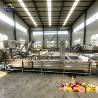 Industriële fruitreinigingsmachine met lage geluidsniveaus, bubbelspray en dubbele reinigingsapparatuur voor citrus- en sinaasappelverwerkingsbedrijven