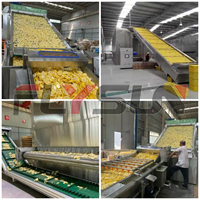 Automatische roestvrijstalen transportbanddroger voor fruit, meloenen, meidoornbessen, vijgen & palmpitontvochtiging, voedselverwerking