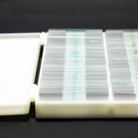 Lames préparées pour l'histologie dentaire, 50 pièces, coffret en bois, pour microscopes dentaires humains, destinées aux laboratoires dentaires et à l'enseignement en écoles.